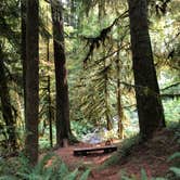 Review photo of Clatsop State Forest Gnat Creek Campground by Stephanie Z., December 1, 2021