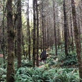 Review photo of Clatsop State Forest Gnat Creek Campground by Stephanie Z., December 1, 2021