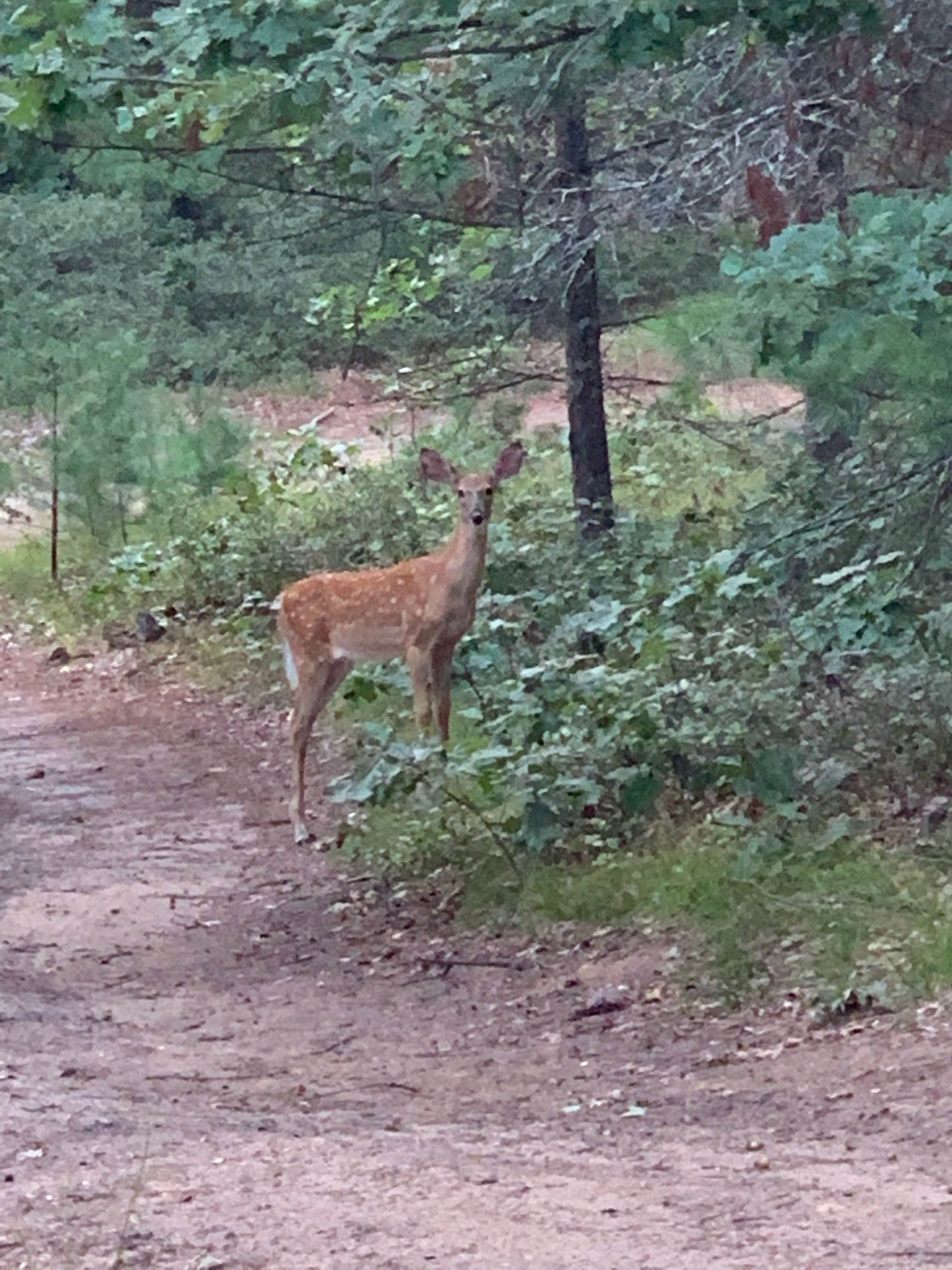 Camper submitted image from Adventure Bound Campground - 4