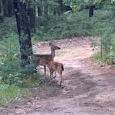 Review photo of Adventure Bound Campground by Clint , December 1, 2021