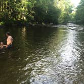Review photo of Davidson River Campground by Jenny S., July 24, 2016