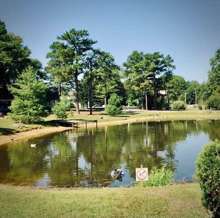 Camper-submitted photo at Brumbleys Family Park near Houston, DE