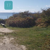 Hermit Island Site 17