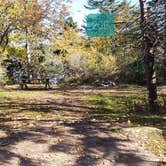 Review photo of Hermit Island Campground by Jean C., December 1, 2021