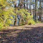 Review photo of Hermit Island Campground by Jean C., December 1, 2021