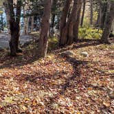 Review photo of Hermit Island Campground by Jean C., December 1, 2021