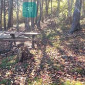 Review photo of Hermit Island Campground by Jean C., December 1, 2021