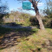 Review photo of Hermit Island Campground by Jean C., December 1, 2021