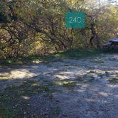 Review photo of Hermit Island Campground by Jean C., December 1, 2021