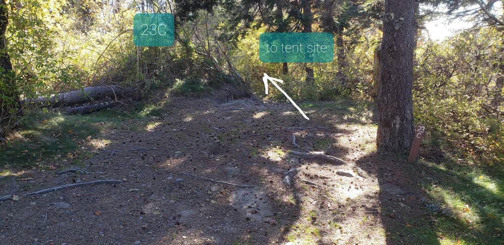 Camper submitted image from Hermit Island Campground - 4