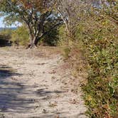 Review photo of Hermit Island Campground by Jean C., December 1, 2021