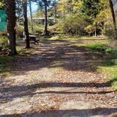 Review photo of Hermit Island Campground by Jean C., December 1, 2021