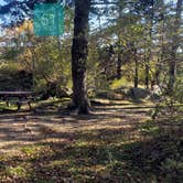 Review photo of Hermit Island Campground by Jean C., December 1, 2021