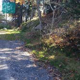 Review photo of Hermit Island Campground by Jean C., December 1, 2021