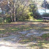 Review photo of Hermit Island Campground by Jean C., December 1, 2021