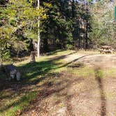 Review photo of Hermit Island Campground by Jean C., December 1, 2021