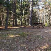 Review photo of Hermit Island Campground by Jean C., December 1, 2021