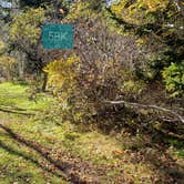 Review photo of Hermit Island Campground by Jean C., December 1, 2021