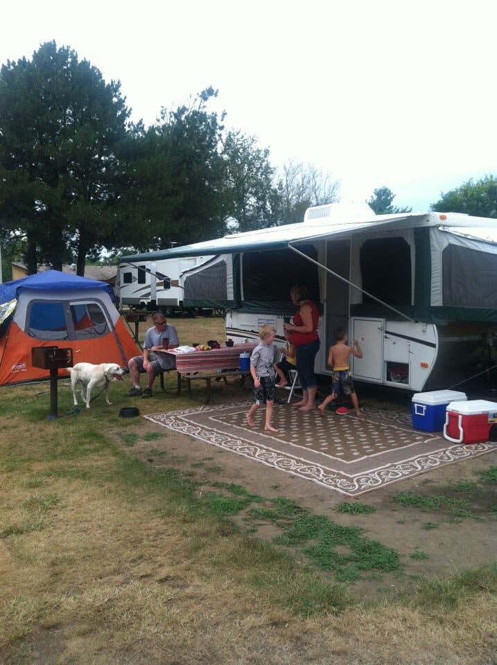 Camper submitted image from Thousand Trails Pine Country - 3