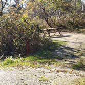 Review photo of Hermit Island Campground by Jean C., December 1, 2021