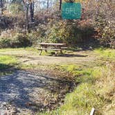 Review photo of Hermit Island Campground by Jean C., December 1, 2021