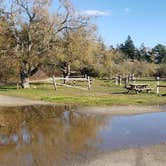 Review photo of Hermit Island Campground by Jean C., December 1, 2021