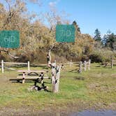 Review photo of Hermit Island Campground by Jean C., December 1, 2021