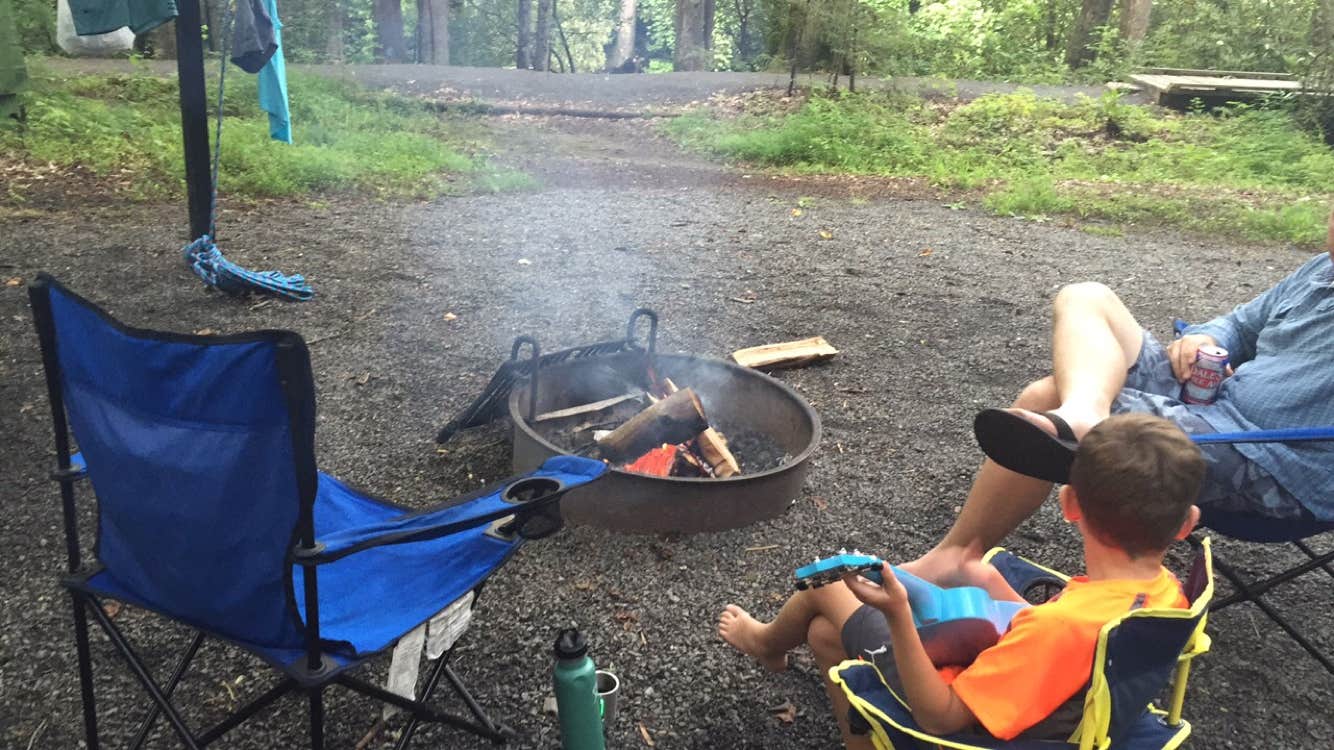 Camper submitted image from Davidson River Campground - 3