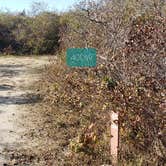 Review photo of Hermit Island Campground by Jean C., December 1, 2021