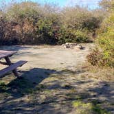 Review photo of Hermit Island Campground by Jean C., December 1, 2021