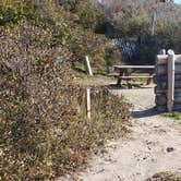 Review photo of Hermit Island Campground by Jean C., December 1, 2021