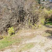 Review photo of Hermit Island Campground by Jean C., December 1, 2021