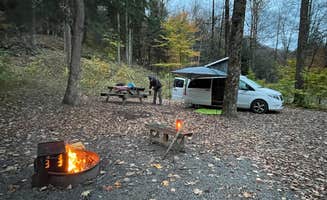 Lee D.'s photo at Worlds End State Park Campground near Trout Run, PA