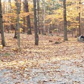 Review photo of Bradbury Mountain State Park Campground by Jean C., December 1, 2021