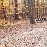 Review photo of Bradbury Mountain State Park Campground by Jean C., December 1, 2021