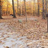 Review photo of Bradbury Mountain State Park Campground by Jean C., December 1, 2021