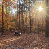 Review photo of Bradbury Mountain State Park Campground by Jean C., December 1, 2021