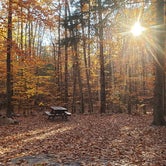 Review photo of Bradbury Mountain State Park Campground by Jean C., December 1, 2021