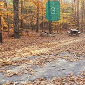 Review photo of Bradbury Mountain State Park Campground by Jean C., December 1, 2021