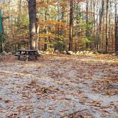 Review photo of Bradbury Mountain State Park Campground by Jean C., December 1, 2021