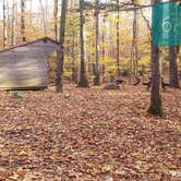 Review photo of Bradbury Mountain State Park Campground by Jean C., December 1, 2021