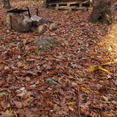 Review photo of Bradbury Mountain State Park Campground by Jean C., December 1, 2021