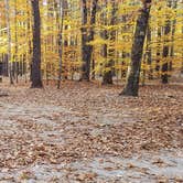 Review photo of Bradbury Mountain State Park Campground by Jean C., December 1, 2021