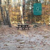 Review photo of Bradbury Mountain State Park Campground by Jean C., December 1, 2021