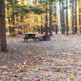 Review photo of Bradbury Mountain State Park Campground by Jean C., December 1, 2021