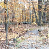 Review photo of Bradbury Mountain State Park Campground by Jean C., December 1, 2021