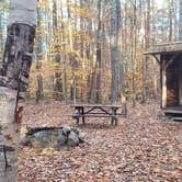 Review photo of Bradbury Mountain State Park Campground by Jean C., December 1, 2021