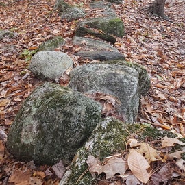 Bradbury Mountain State Park Stone walls