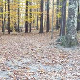 Review photo of Bradbury Mountain State Park Campground by Jean C., December 1, 2021