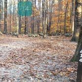 Review photo of Bradbury Mountain State Park Campground by Jean C., December 1, 2021